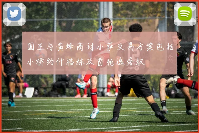 国王与黄蜂商讨小萨交易方案包括小桥约什格林及首轮选秀权
