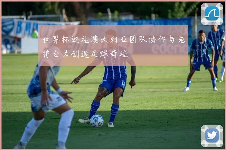 世界杯巡礼澳大利亚团队协作与老将合力创造足球奇迹